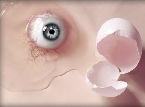 egg-eye