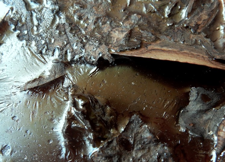 macerazione-1-by-n-maroccolo