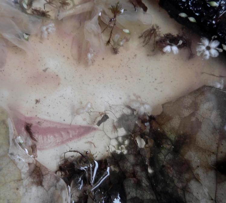 violetta-trittico-72x33-cm-part-by-n-maroccolo