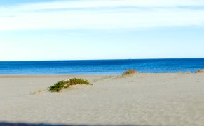 preghiera in gennaio