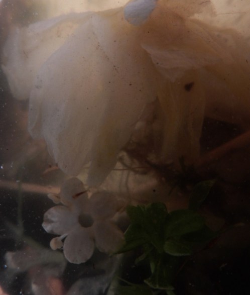 acquatile-1_by-n-maroccolo